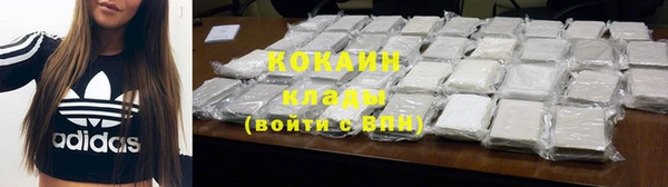 гашик Белокуриха