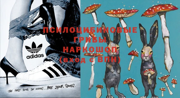 гашик Белокуриха