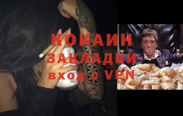 гашик Белокуриха